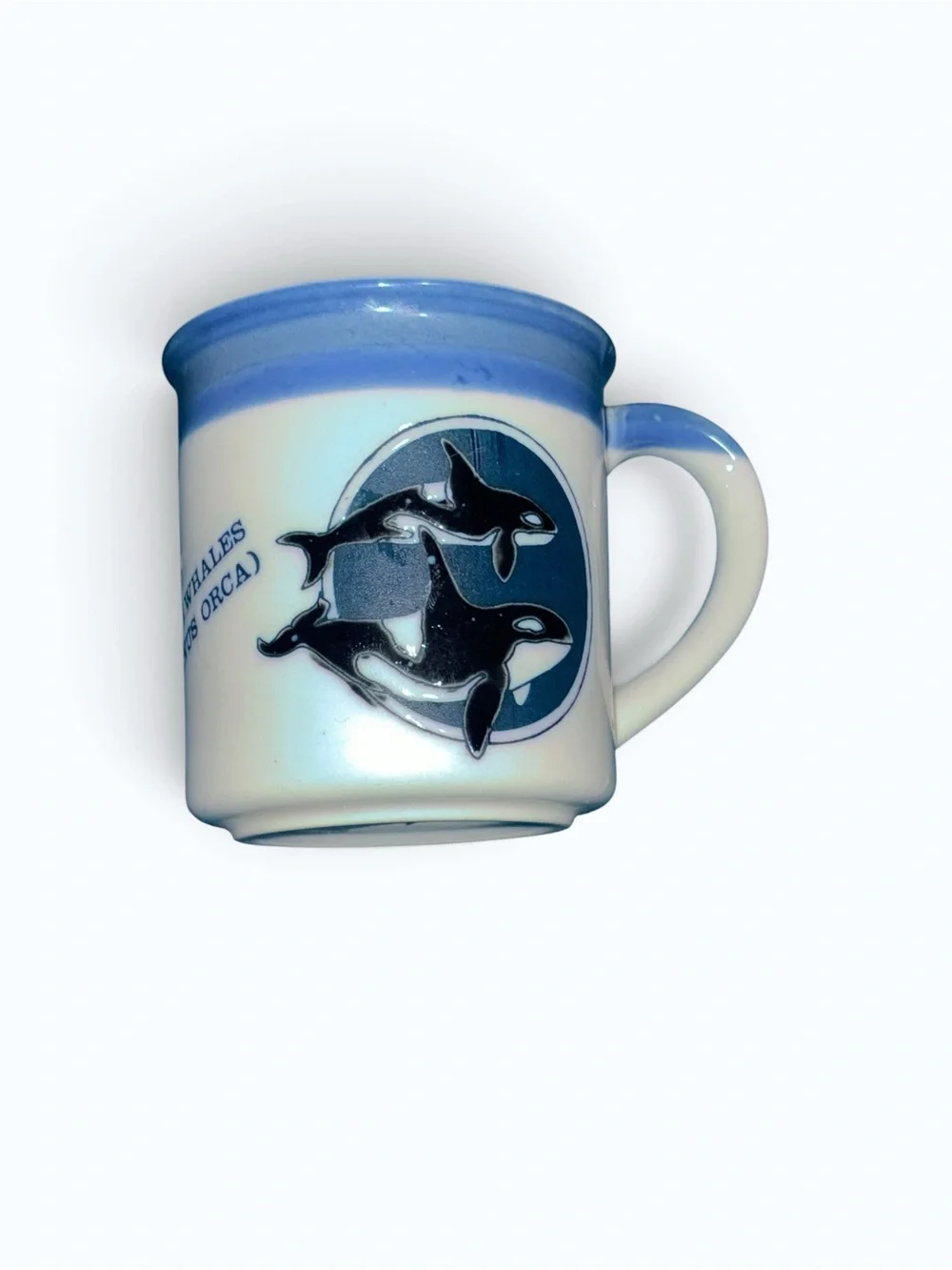 Vintage Collectible Orca Killer Whale Ceramic Glazed Coffee Mug Cup Orcinus